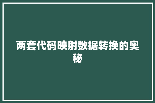 两套代码映射数据转换的奥秘