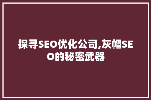 探寻SEO优化公司,灰帽SEO的秘密武器