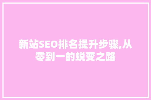 新站SEO排名提升步骤,从零到一的蜕变之路