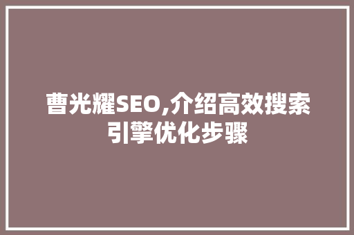 曹光耀SEO,介绍高效搜索引擎优化步骤