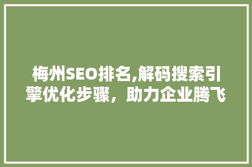 梅州SEO排名,解码搜索引擎优化步骤，助力企业腾飞