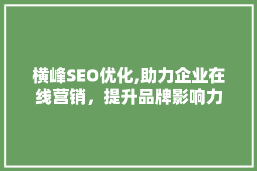 横峰SEO优化,助力企业在线营销，提升品牌影响力