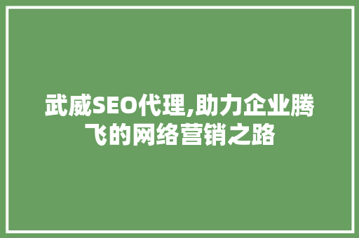 武威SEO代理,助力企业腾飞的网络营销之路