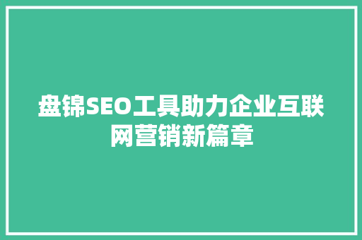 盘锦SEO工具助力企业互联网营销新篇章