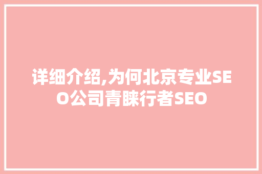 详细介绍,为何北京专业SEO公司青睐行者SEO