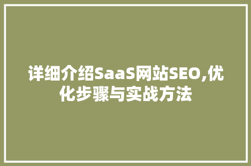 详细介绍SaaS网站SEO,优化步骤与实战方法