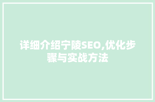 详细介绍宁陵SEO,优化步骤与实战方法