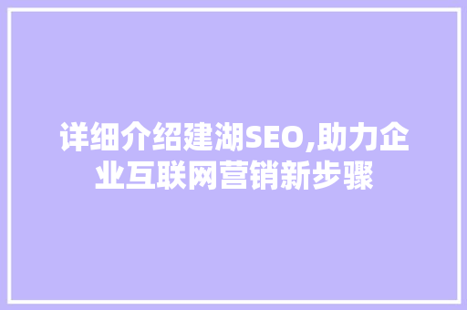 详细介绍建湖SEO,助力企业互联网营销新步骤