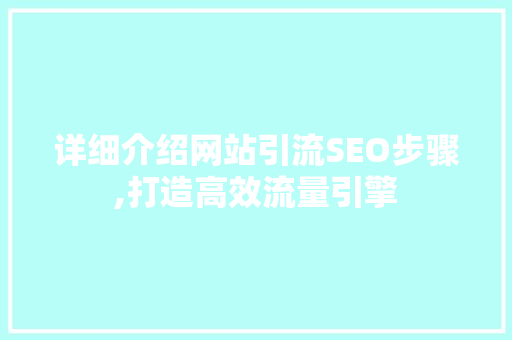 详细介绍网站引流SEO步骤,打造高效流量引擎