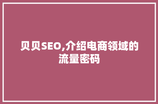 贝贝SEO,介绍电商领域的流量密码