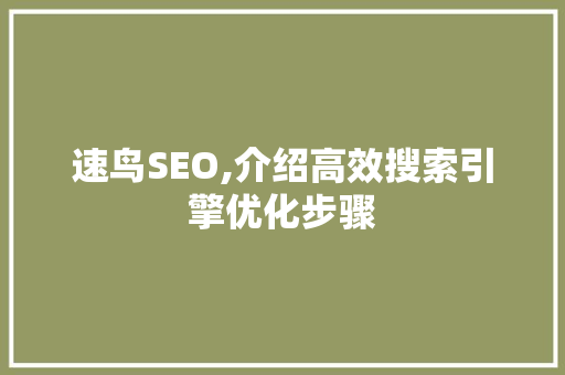 速鸟SEO,介绍高效搜索引擎优化步骤