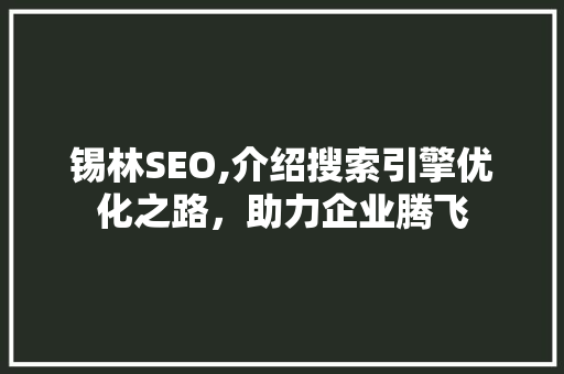 锡林SEO,介绍搜索引擎优化之路，助力企业腾飞