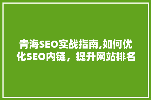 青海SEO实战指南,如何优化SEO内链，提升网站排名