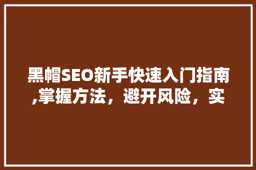 黑帽SEO新手快速入门指南,掌握方法，避开风险，实现网站流量翻倍