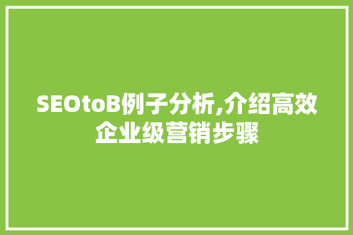 SEOtoB例子分析,介绍高效企业级营销步骤