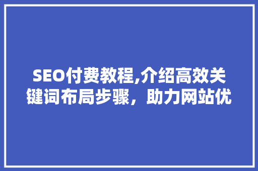 SEO付费教程,介绍高效关键词布局步骤，助力网站优化