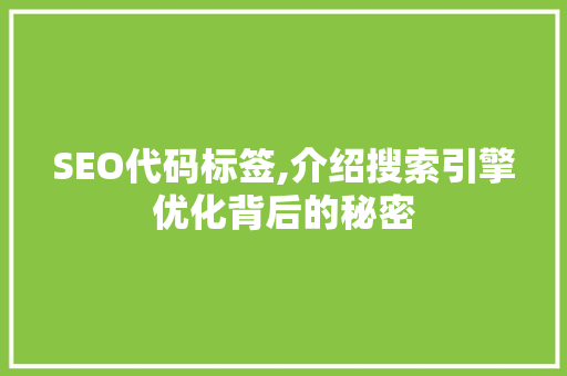 SEO代码标签,介绍搜索引擎优化背后的秘密