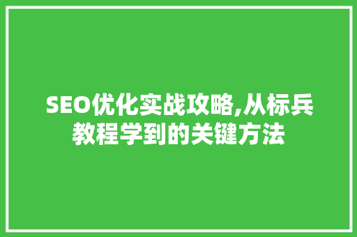 SEO优化实战攻略,从标兵教程学到的关键方法