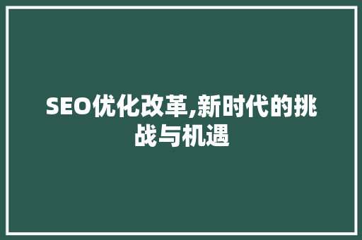 SEO优化改革,新时代的挑战与机遇