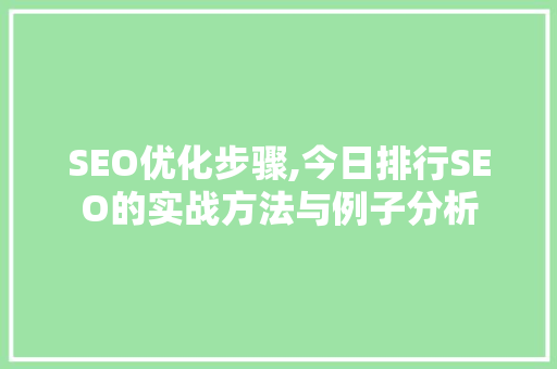SEO优化步骤,今日排行SEO的实战方法与例子分析