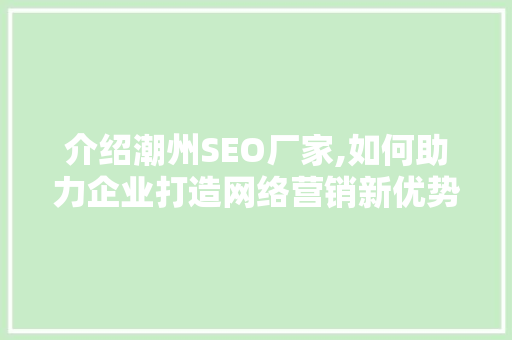 介绍潮州SEO厂家,如何助力企业打造网络营销新优势