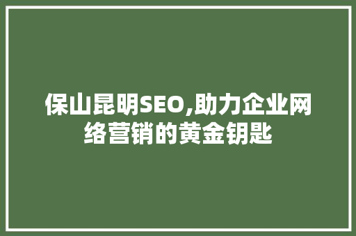 保山昆明SEO,助力企业网络营销的黄金钥匙