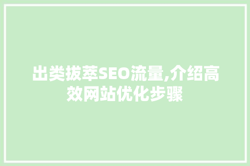 出类拔萃SEO流量,介绍高效网站优化步骤