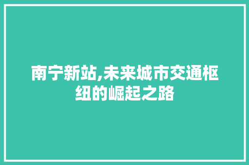 南宁新站,未来城市交通枢纽的崛起之路