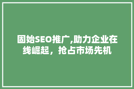 固始SEO推广,助力企业在线崛起，抢占市场先机  第1张
