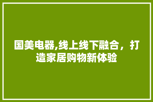 国美电器,线上线下融合，打造家居购物新体验