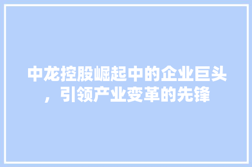 中龙控股崛起中的企业巨头，引领产业变革的先锋
