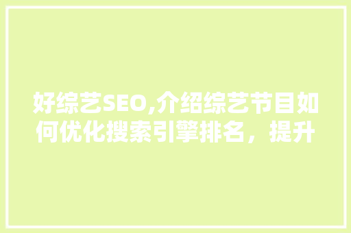 好综艺SEO,介绍综艺节目如何优化搜索引擎排名，提升曝光度