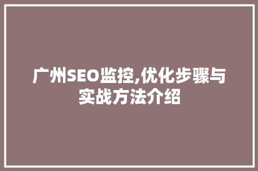 广州SEO监控,优化步骤与实战方法介绍