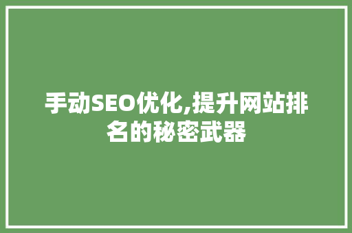 手动SEO优化,提升网站排名的秘密武器