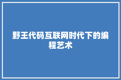 野王代码互联网时代下的编程艺术