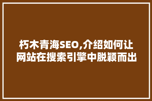 朽木青海SEO,介绍如何让网站在搜索引擎中脱颖而出