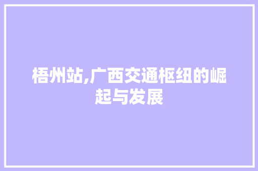 梧州站,广西交通枢纽的崛起与发展