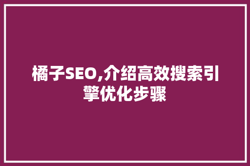 橘子SEO,介绍高效搜索引擎优化步骤