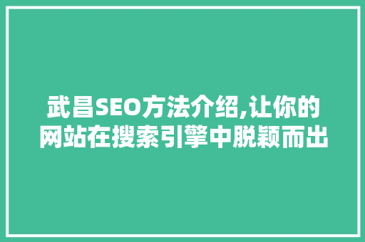 武昌SEO方法介绍,让你的网站在搜索引擎中脱颖而出
