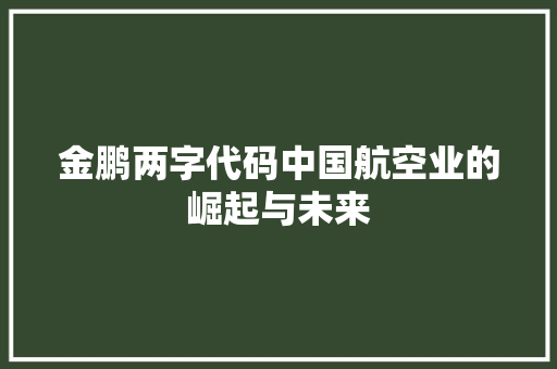金鹏两字代码中国航空业的崛起与未来
