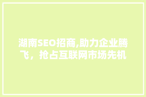 湖南SEO招商,助力企业腾飞，抢占互联网市场先机