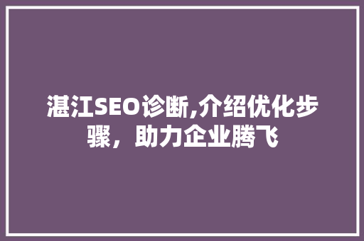 湛江SEO诊断,介绍优化步骤，助力企业腾飞