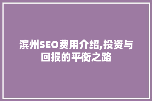 滨州SEO费用介绍,投资与回报的平衡之路