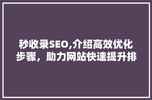 秒收录SEO,介绍高效优化步骤，助力网站快速提升排名