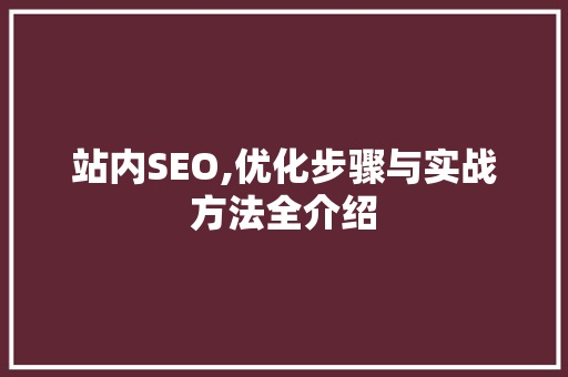 站内SEO,优化步骤与实战方法全介绍