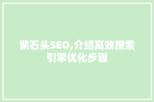 紫石头SEO,介绍高效搜索引擎优化步骤