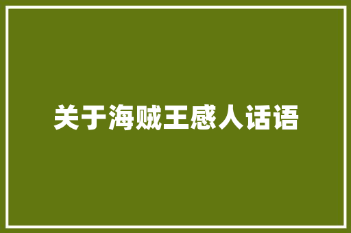 网络SEO图片优化,提升网站流量与用户体验的关键步骤