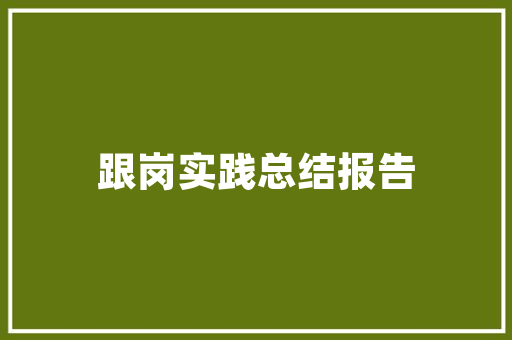 美国SEO货运,助力企业拓展全球市场的关键步骤