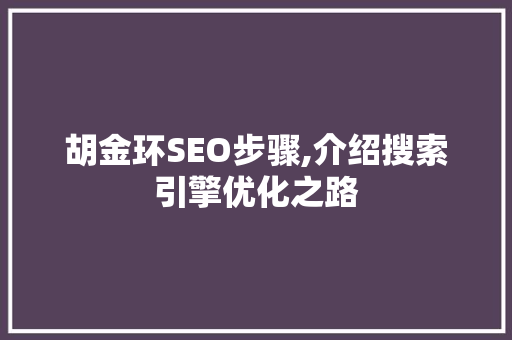 胡金环SEO步骤,介绍搜索引擎优化之路