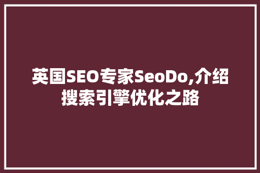 英国SEO专家SeoDo,介绍搜索引擎优化之路